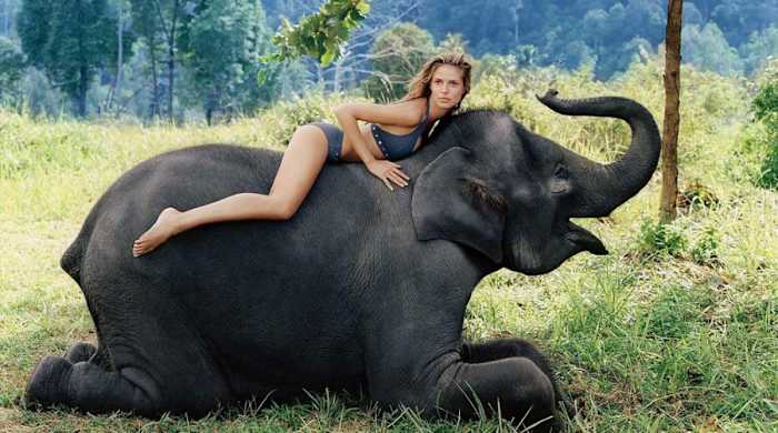 heidi-klum-elephant.jpg